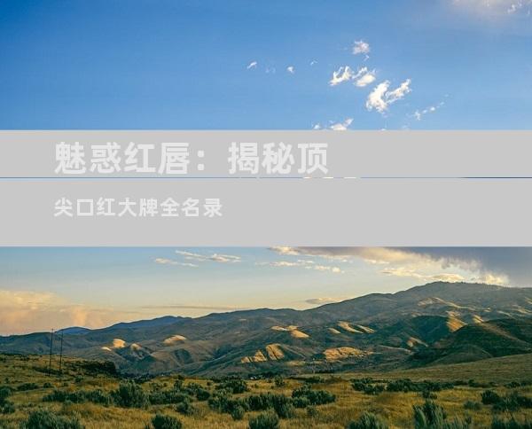 魅惑红唇：揭秘顶尖口红大牌全名录